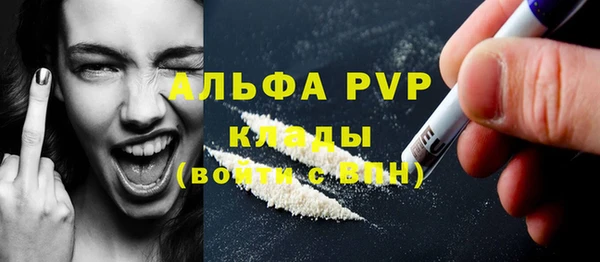 кокс Касимов