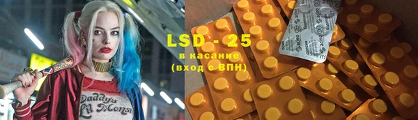 прущие грибы Карталы