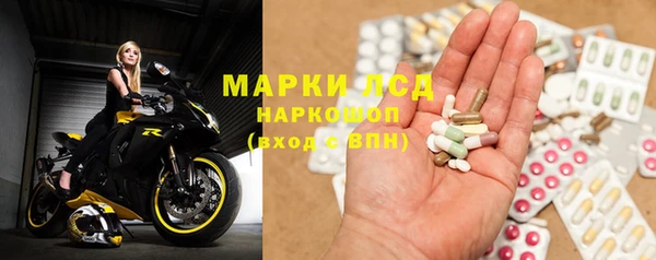 кокс Касимов