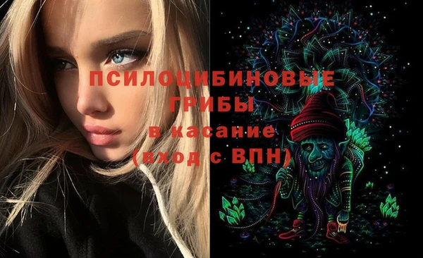 прущий лед Карпинск