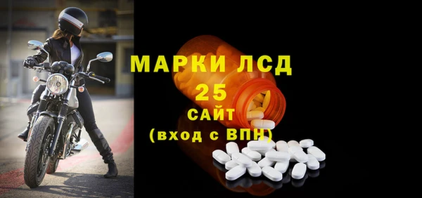 кокс Касимов