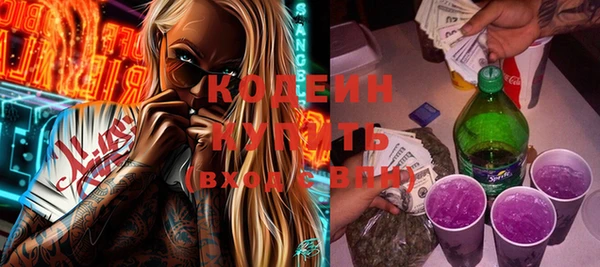 прущие грибы Карталы