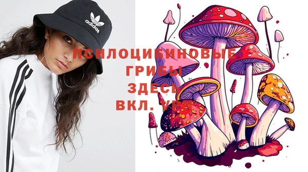 прущие грибы Карталы