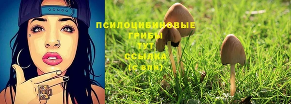 прущие грибы Карталы