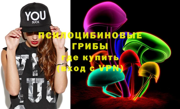 кокс Касимов