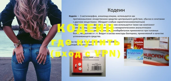 прущие грибы Карталы