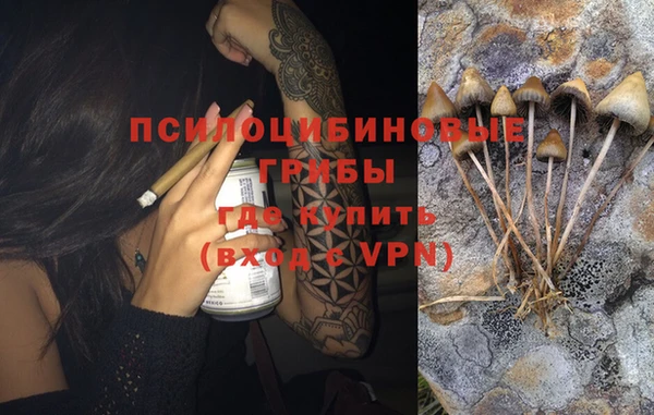 прущий лед Карпинск