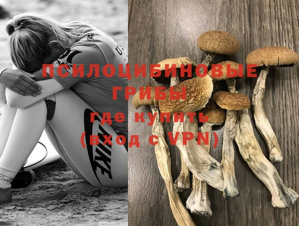 прущие грибы Карталы