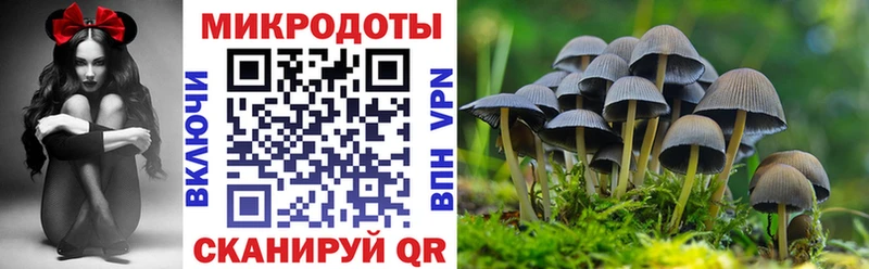 как найти   Казань  Галлюциногенные грибы Magic Shrooms 