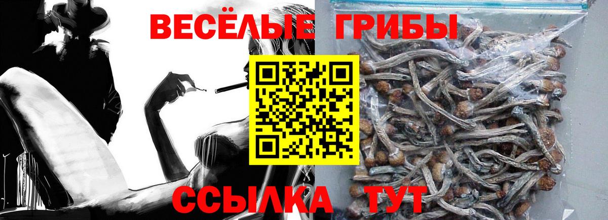 где купить наркоту  Псилоцибиновые грибы Cubensis  Казань  Псилоцибиновые грибы Psilocybe 